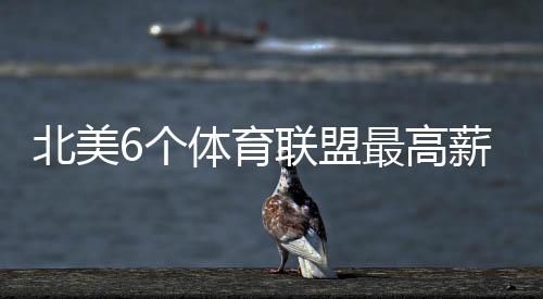 他的北美均薪是2000万美元