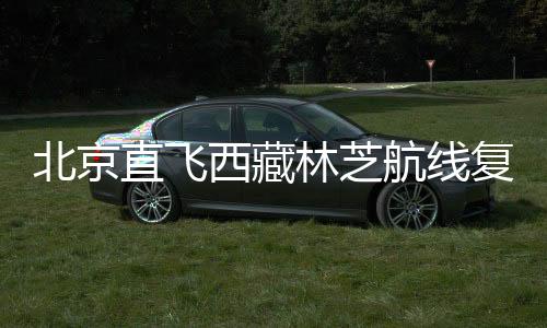 直飞“十三五”期间