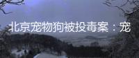 北京宠物狗被投毒案	：宠物如何定价，犬主能否诉精神赔偿