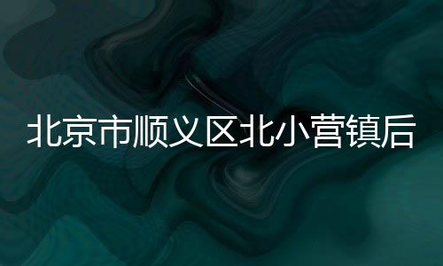 后礼垃圾处理等工作