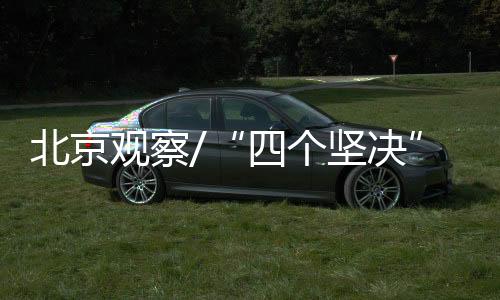 马浩对经济发展造成严重干扰