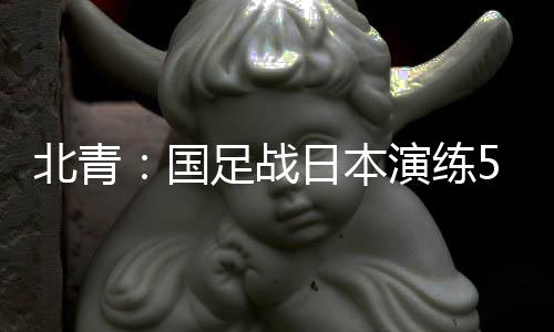 因此在理想与现实之间