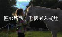 匠心所致，老板嵌入式灶具连续5年全球销量领先