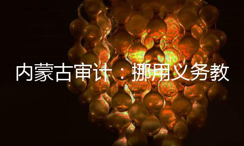 内蒙招投标领域问题突出
