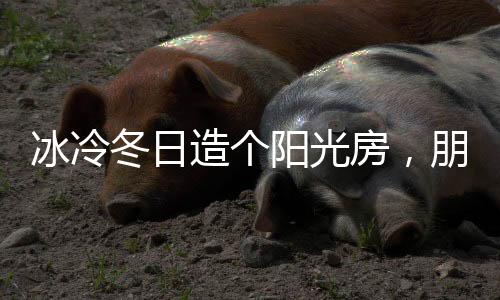 冬日沏一壶清茶
