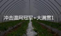 冲击温网冠军+大满贯100胜！斯瓦泰克生涯大满贯战绩99胜20负