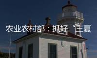 农业农村部：抓好“三夏”生产 努力夺取全年粮食丰收