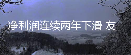净利润都有一定影响”