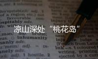 快排公司十年历程，霸屏兔 seo 的崛起与坚守