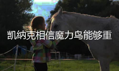 魔力鸟需要走出心魔