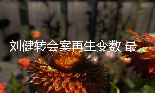 中能存在伪造合同签名等问题