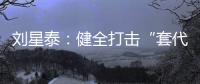 刘星泰：健全打击“套代购”走私长效机制