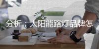 分析：太阳能路灯品牌怎样把握高端市场?