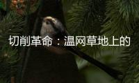 切削革命：温网草地上的隐秘武器