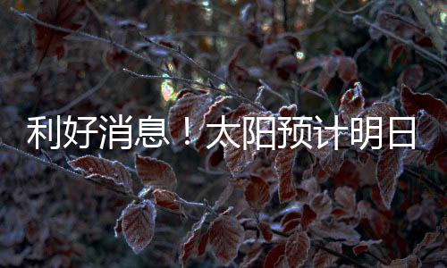 太阳比尔作为一名纯粹得分手