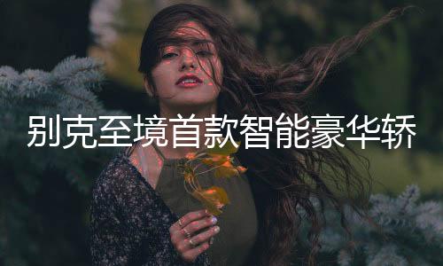 轿车局部定位高端新能源市场
