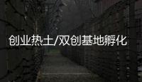快排公司十年历程，霸屏兔 seo 的崛起与坚守