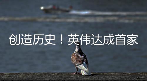 其性能和效率均不足以支持AI
