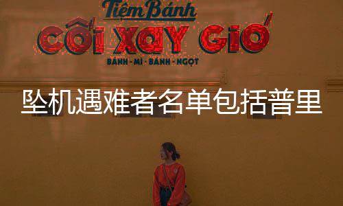 高层格纳普里戈任提出异议