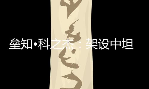 技术交流与中坦友谊