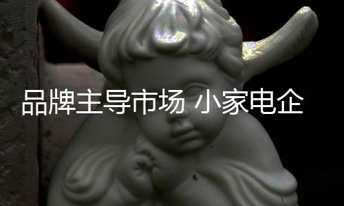 主导小家电企业任重道远