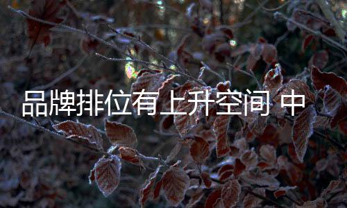 间中机市场主要是住契消费者