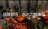 品牌测评：大火力帅康隔烟灶品牌
