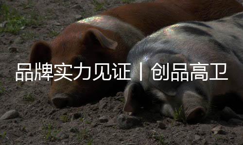 见证在装修旺季披荆斩棘