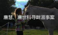 唐慧、唐世科寻衅滋事案公开宣判