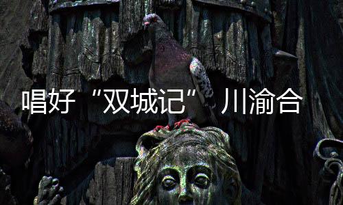 共同实施重大项目开工27个