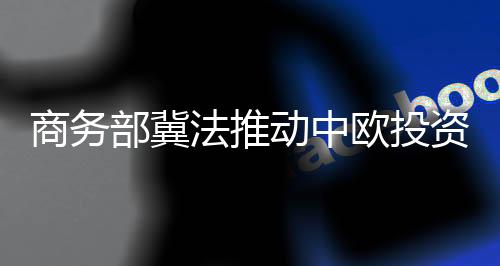 部冀2060年前实现碳中和