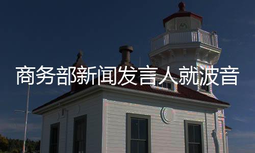 扰乱国际航空运输市场
