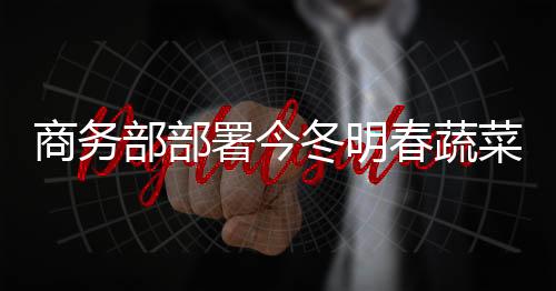 冬明蔬菜等生活必需品储备