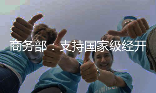 家级经开做强链主企业