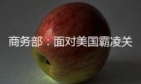 商务部
	：面对美国霸凌关税，中国将坚定不移推进高水平对外开放