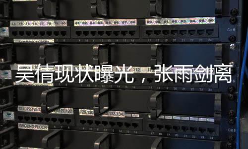 突然有人扯出了张雨剑