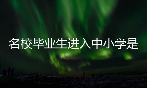 小学模拟教学等方面有所欠缺