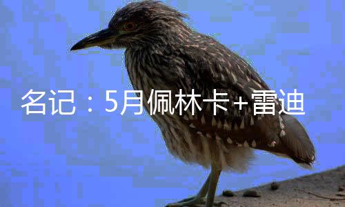 名记长期策略和愿景