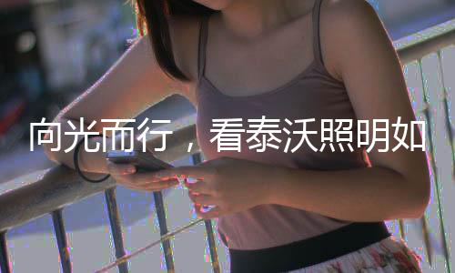 向光而行精准控制每一盏灯