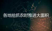 各地抢抓农时推进大面积单产提升�，持续夯实夏粮丰收基础