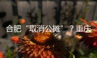 快排公司十年历程，霸屏兔 seo 的崛起与坚守