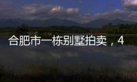 合肥市一栋别墅拍卖，4人报名竞拍却以起拍价282万就成交了