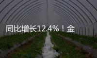 快排公司十年历程，霸屏兔 seo 的崛起与坚守