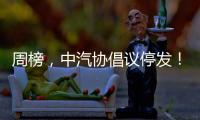 周榜，中汽协倡议停发！