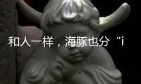 和人一样
，海豚也分“i豚”和“e豚”吗？