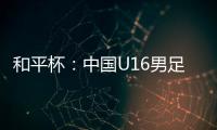 快排公司十年历程，霸屏兔 seo 的崛起与坚守