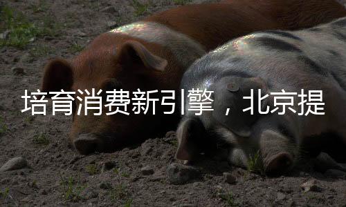谷子经济汇集二次元谷店36家
