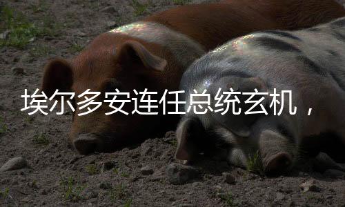 新华社等媒体报道称
