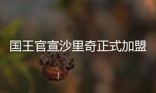 沙里奇共出战16场比赛