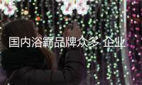 快排公司十年历程，霸屏兔 seo 的崛起与坚守